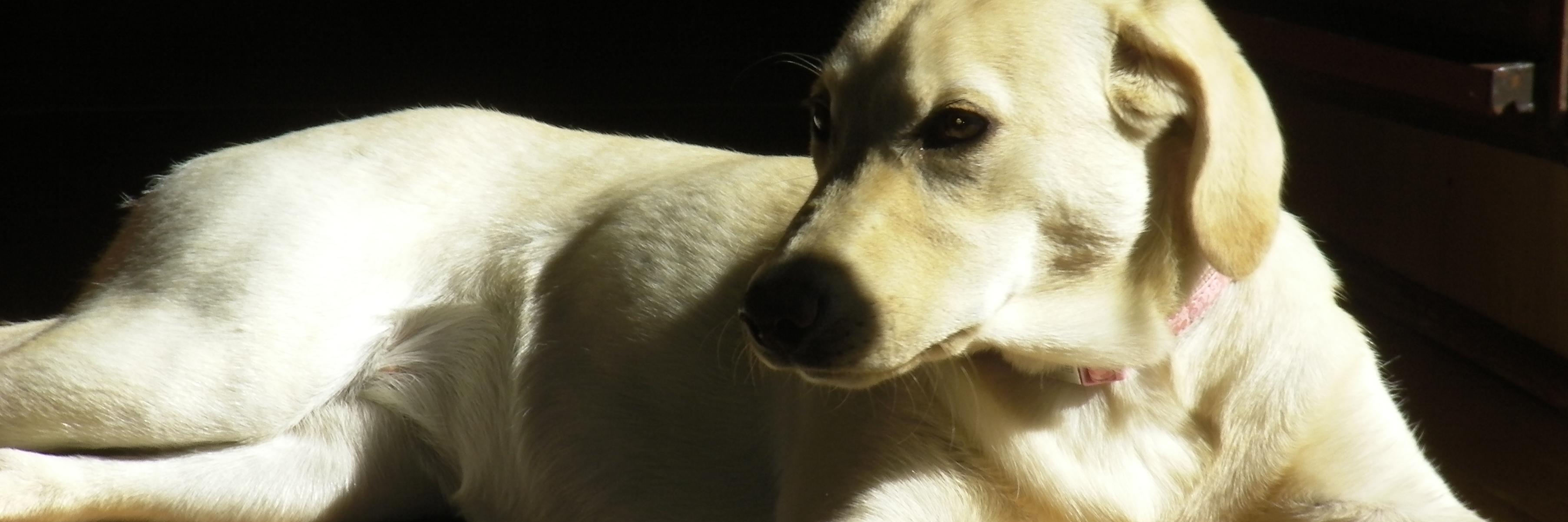 ABONDANCE2's profile banner image