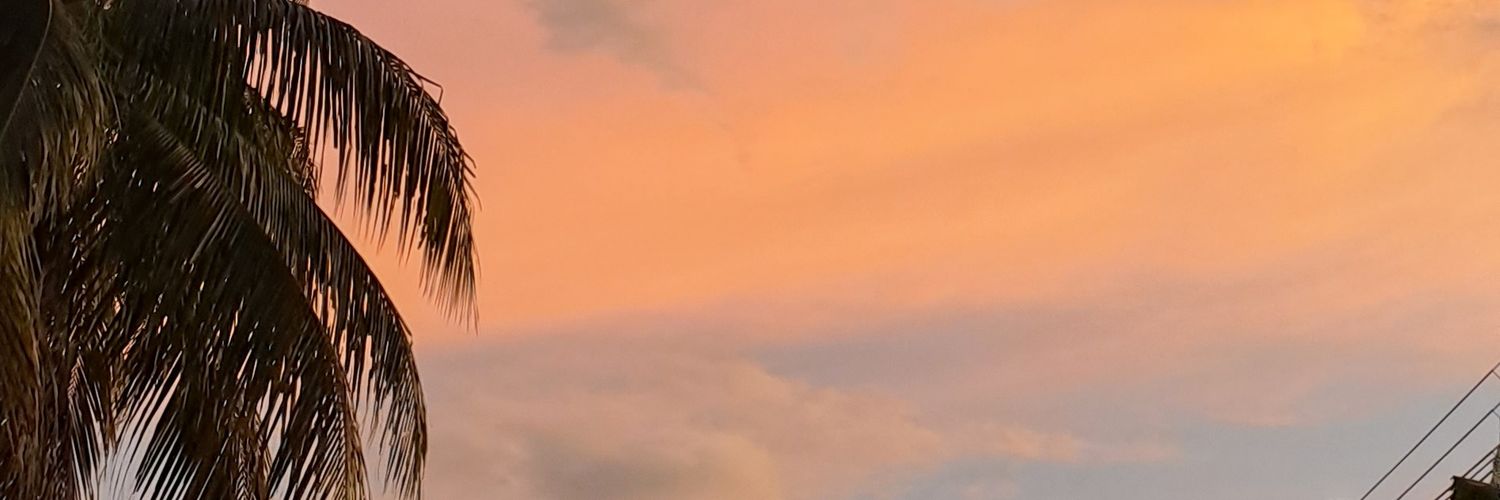 AidahNurul_'s profile banner image