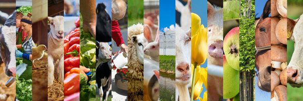 LTONederland Profile Banner