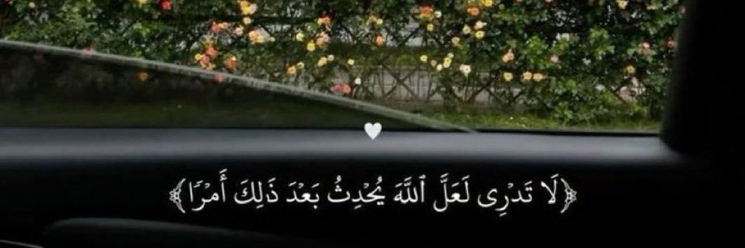 SALMAMANSOUR3's profile banner image