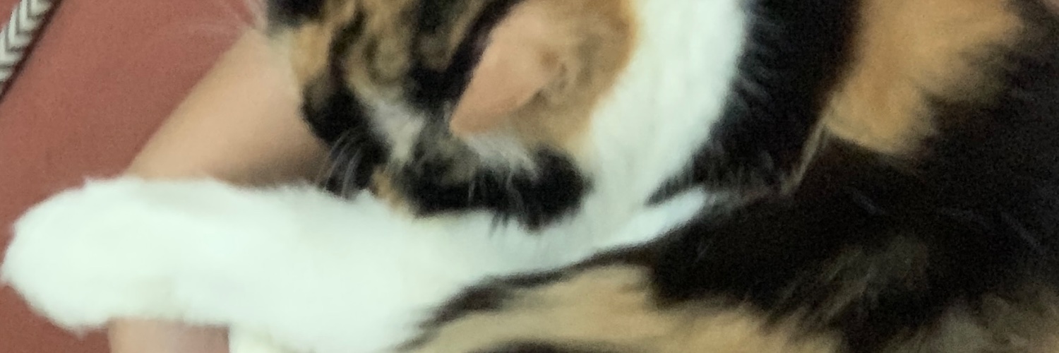 BellaAndini7's profile banner image
