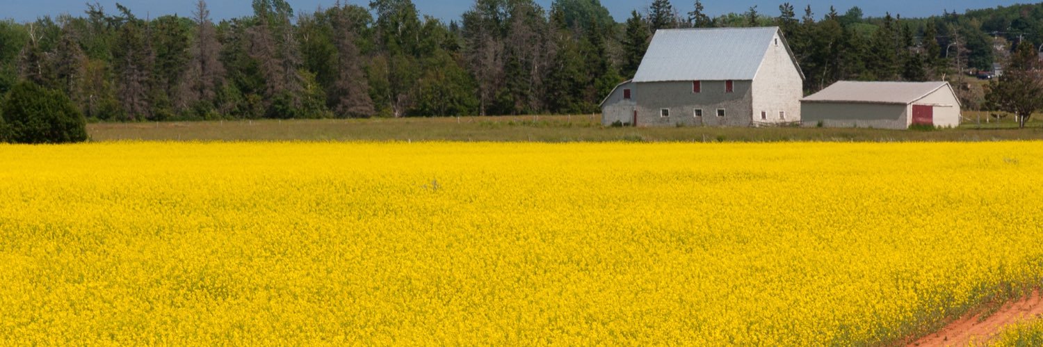 Johanne Bilodeau banner
