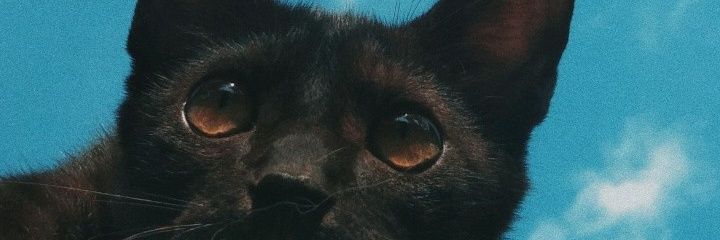 hudaL0L's profile banner image