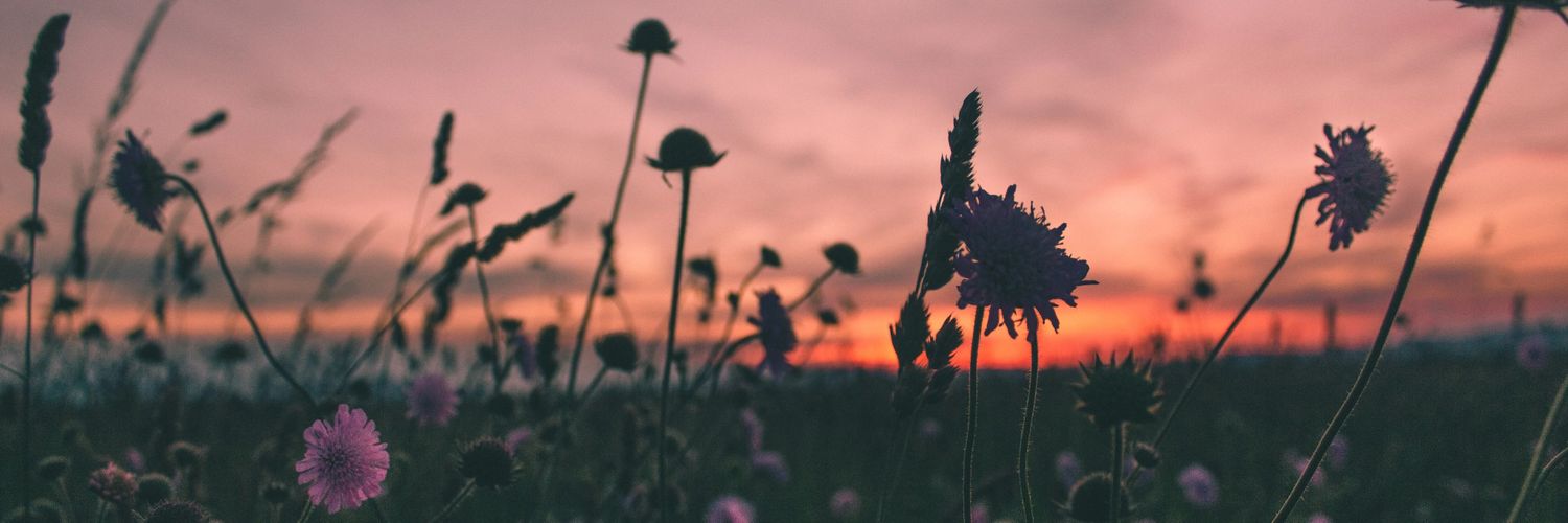 BedihaDiler's profile banner image