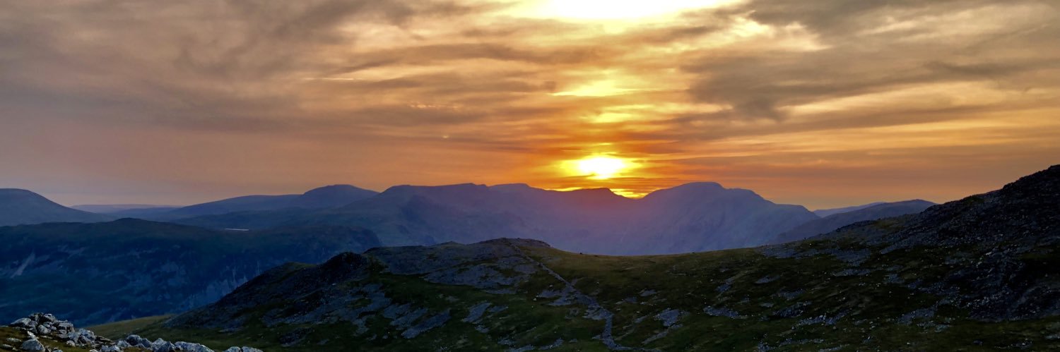 Danielle Chamberlain banner