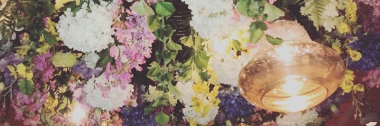 Danielle_Stern's profile banner image
