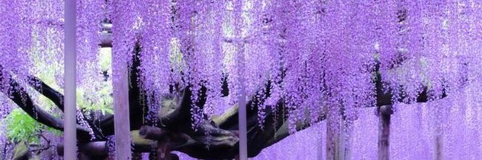 ce_groulx's profile banner image