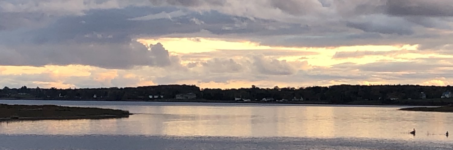 Melissa Bishop banner