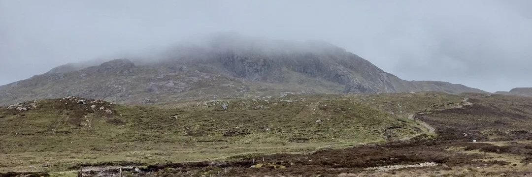 Katherine Trebeck (a less than infrequent X user) banner