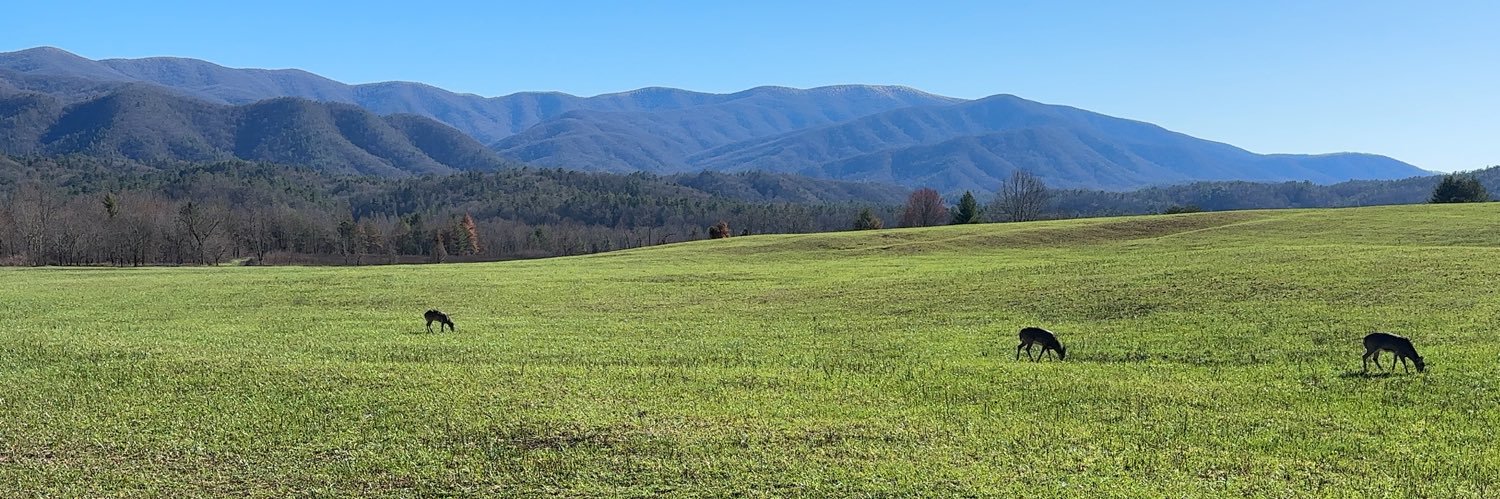 渡辺@机上 banner