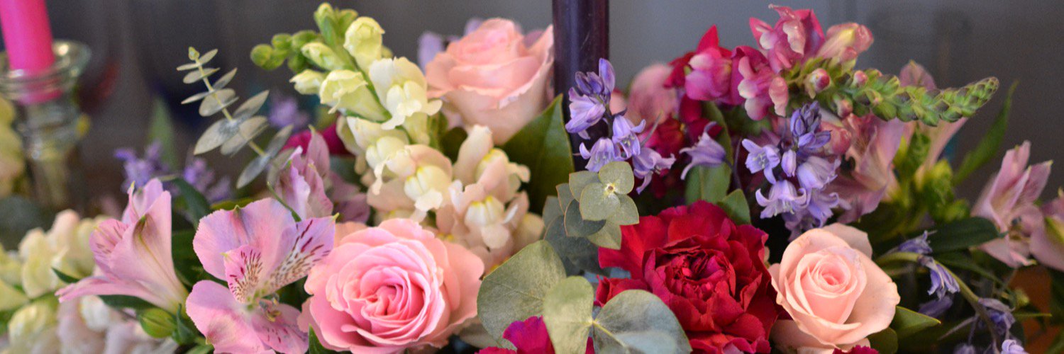 JuliaPasfield's profile banner image