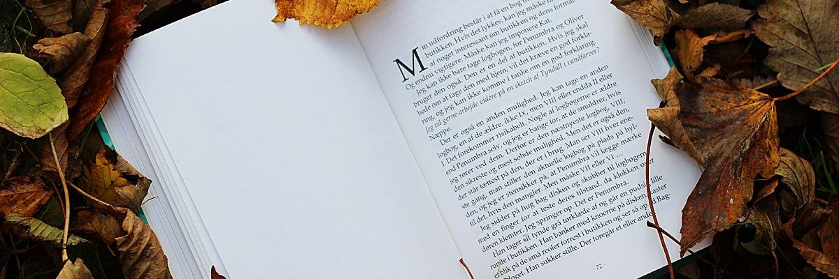 gittewitte's profile banner image
