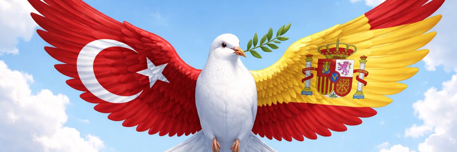 nizamoglu41's profile banner image
