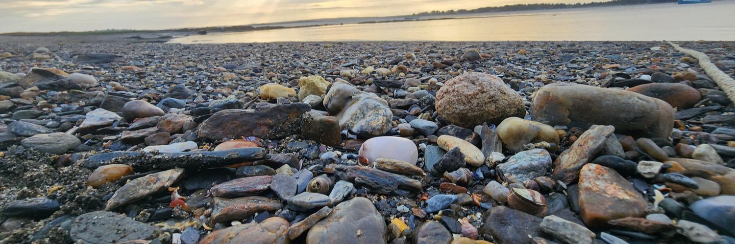 bumbles bounce banner