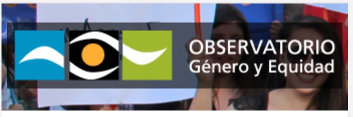 Observatorio Género banner