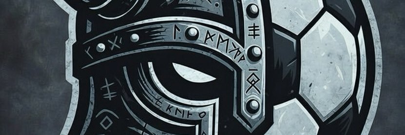 tips vikingos banner