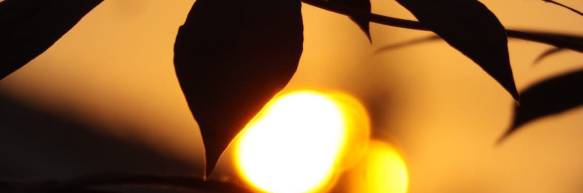_Deklok's profile banner image
