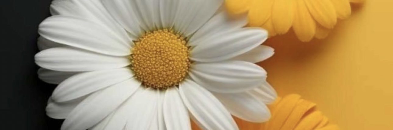 _89DaNa's profile banner image