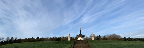 PaedED Profile Banner