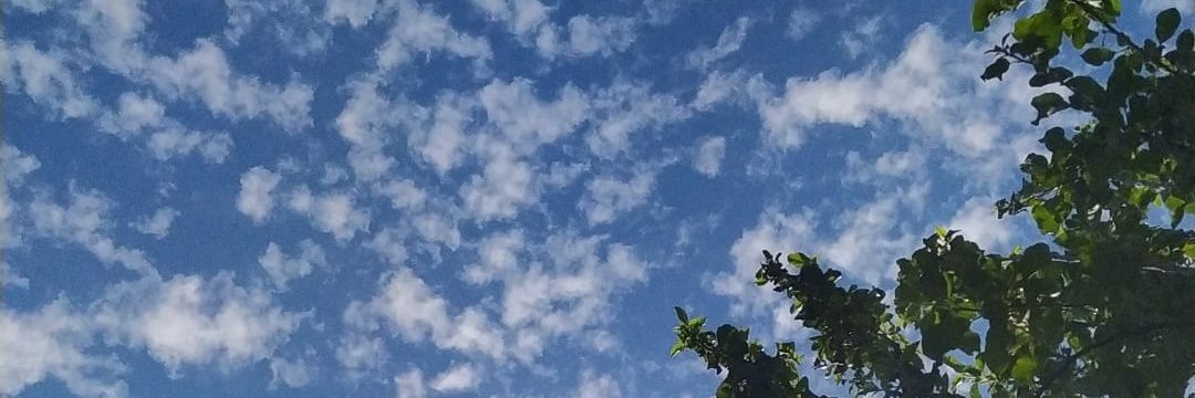 Alba Silva ✨ banner