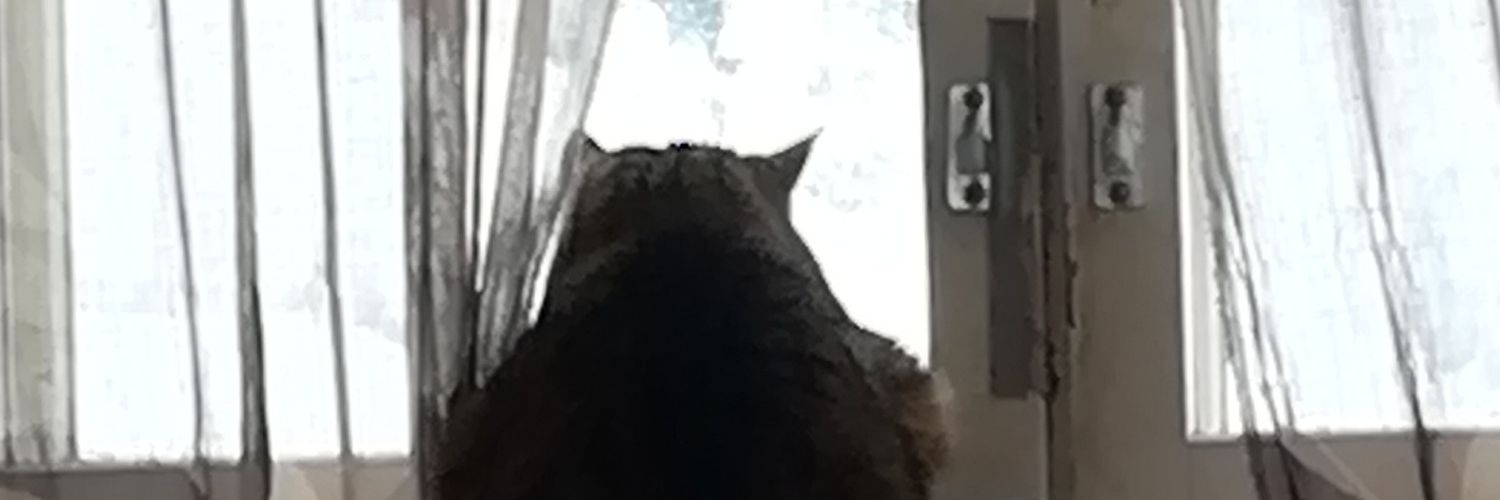 JiiBeeFin Johanna banner