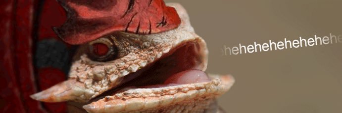 RandyBurganJr's profile banner image