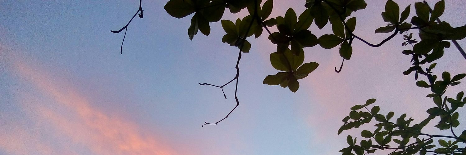 theteeet's profile banner image