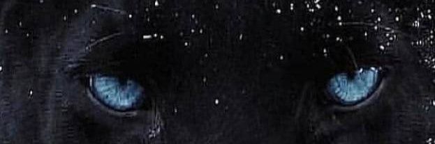 Synyster🐾🐾🐾 banner