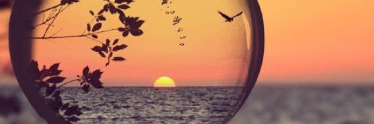 omar977m's profile banner image