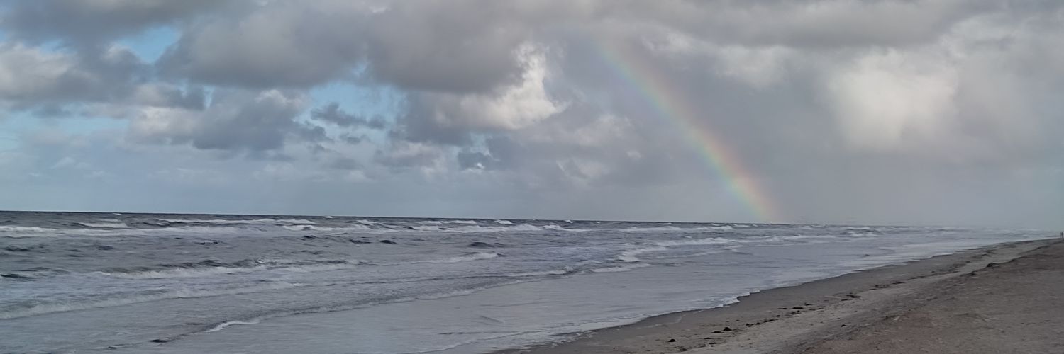 Al Transneros banner