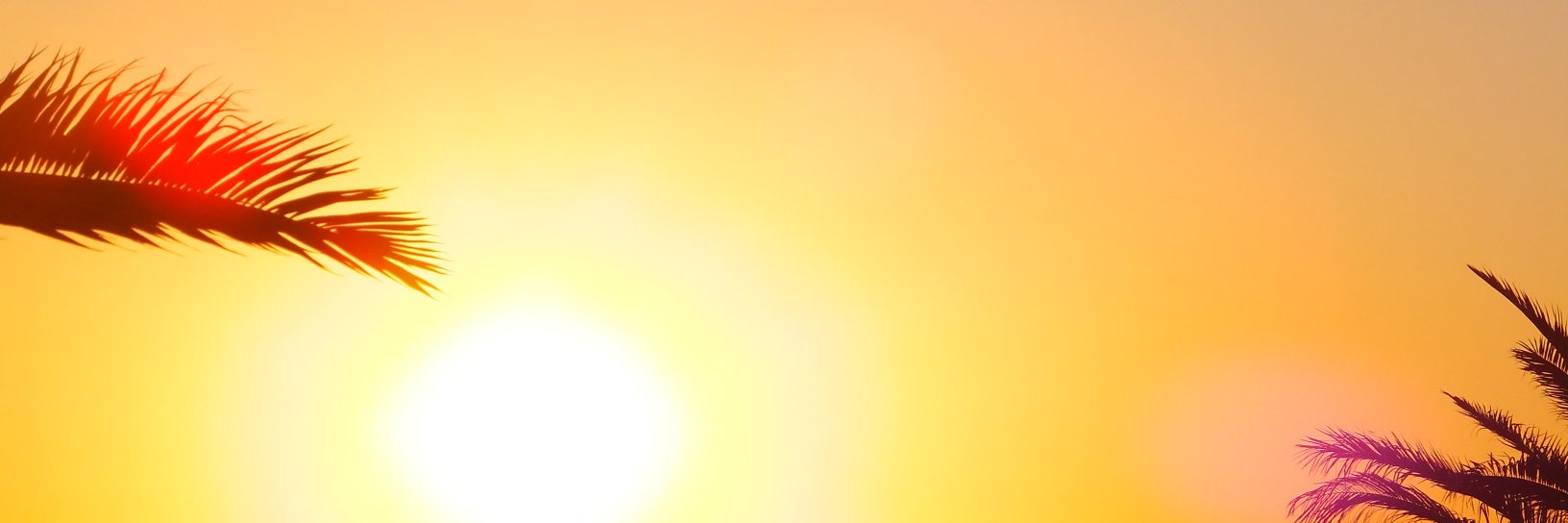paconcurso's profile banner image