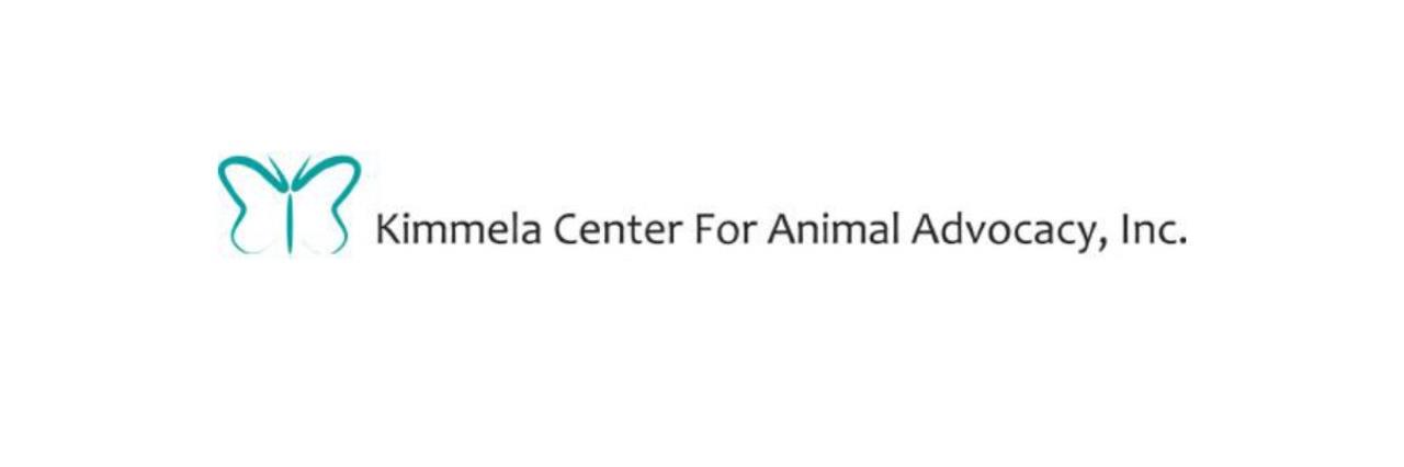 KimmelaCenter's profile banner image