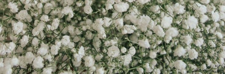 ricka_arin's profile banner image