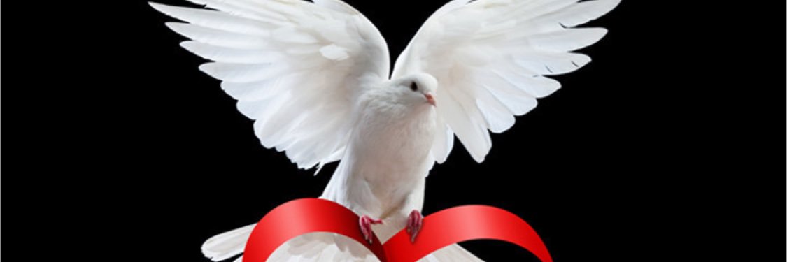 joybling's profile banner image