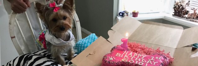 Jose_DaHBest's profile banner image