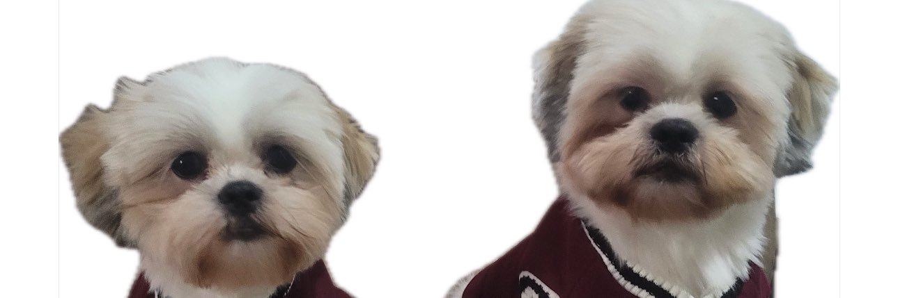 jeanquebral's profile banner image