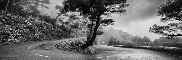 Strawanski Profile Banner