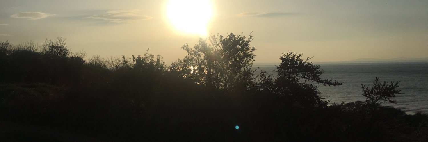 ElaineMacMaster's profile banner image