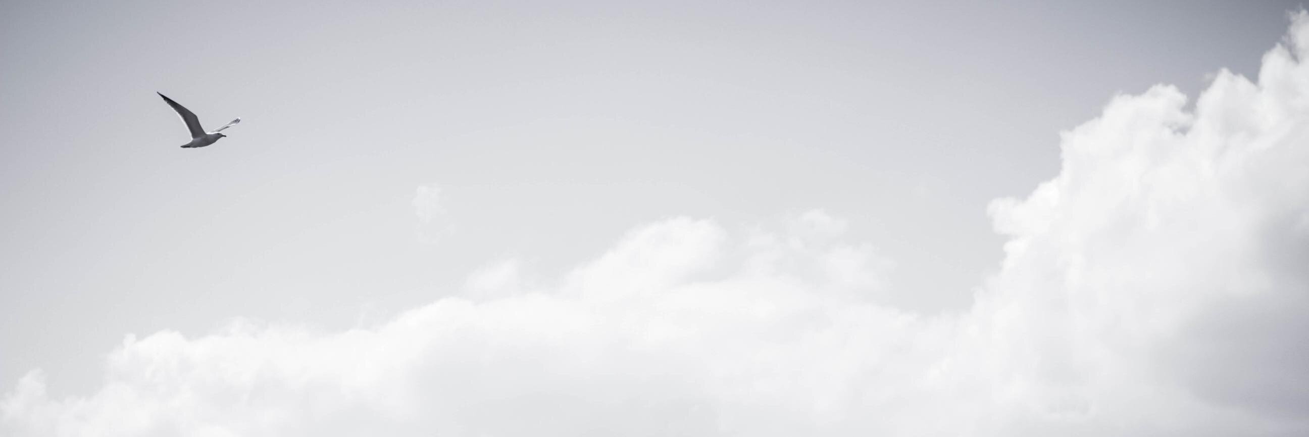 bwaake's profile banner image