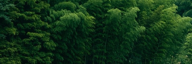 bbrcn's profile banner image