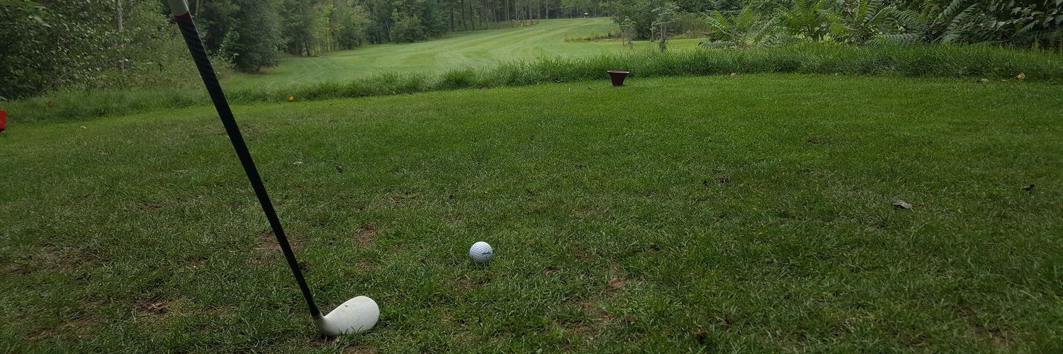 Claude-André Mayrand banner