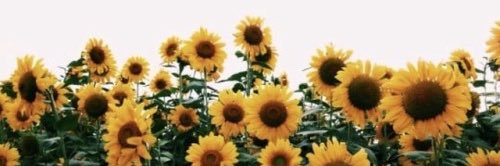 abbayybayy's profile banner image