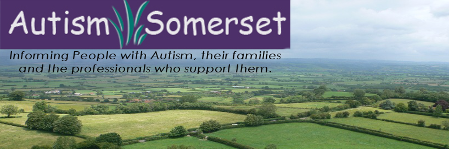 AutismSomerset's profile banner image