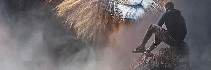 miller153's profile banner image