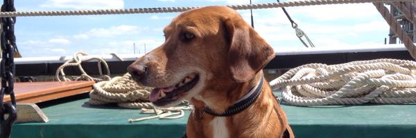 MaggsCaseyKelly Profile Banner