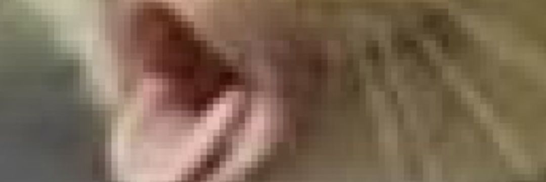 Javiisanmamede's profile banner image