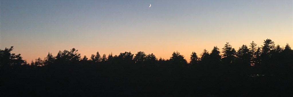 lhalman's profile banner image