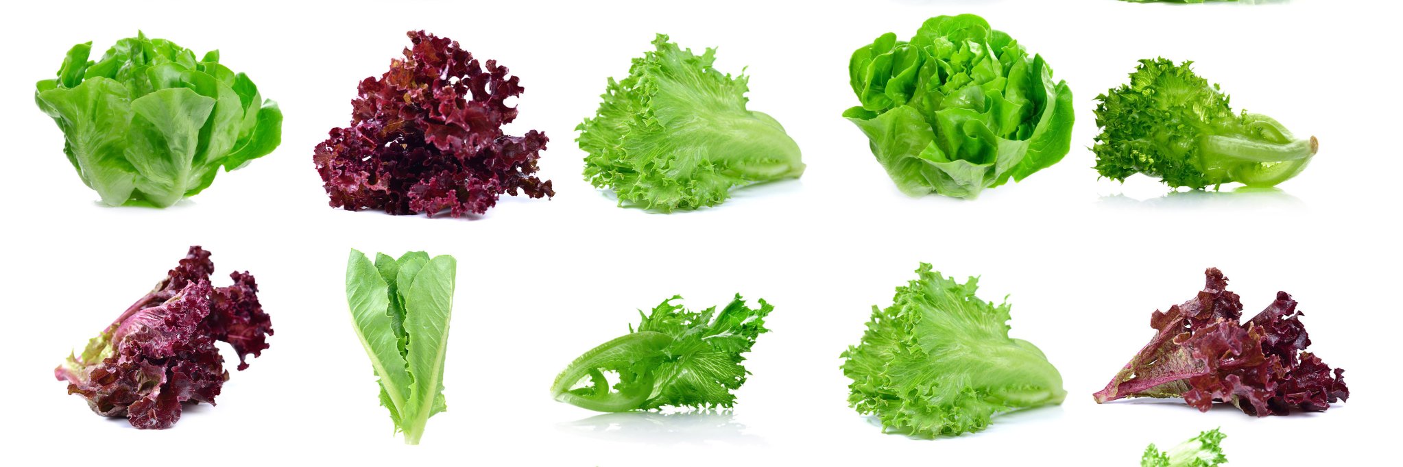 JAmbrogiFoods's profile banner image
