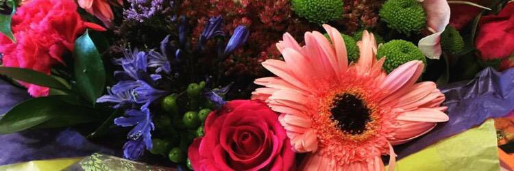 Lynsmulligan's profile banner image