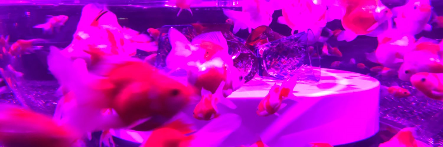 hm_fp's profile banner image